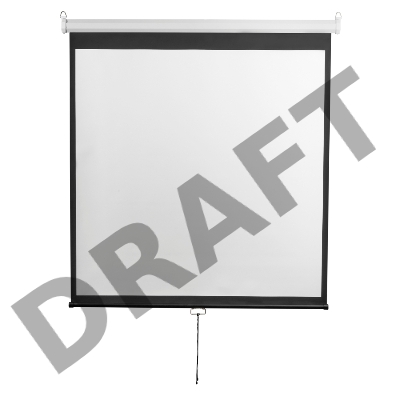 Экран 200x200см Digis Optimal-D DSOD-1105 1:1 настенно-потолочный рулонный