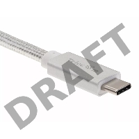 Кабель USB 3.1 Type Cm -- Cm IC 5А 10Gbs длина 1M, Telecom <TC420S> серебряный