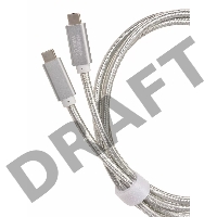 Кабель USB 3.1 Type Cm -- Cm IC 5А 10Gbs длина 1M, Telecom <TC420S> серебряный