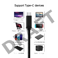 Кабель USB 3.1 Type Cm -- Cm IC 5А 10Gbs длина 1M, Telecom <TC420S> серебряный