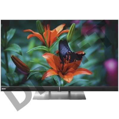 Телевизор PREMIER 55PRM800USV