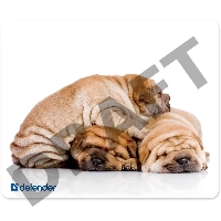 Коврик Defender шелковый ассортимент, 230х190х1.6