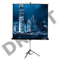 Экран на треноге Lumien 153x203см Master View LMV-100107 4:3 напольный рулонный
