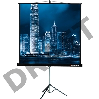 Экран на треноге Lumien 183x244см Master View LMV-100108 4:3 напольный рулонный