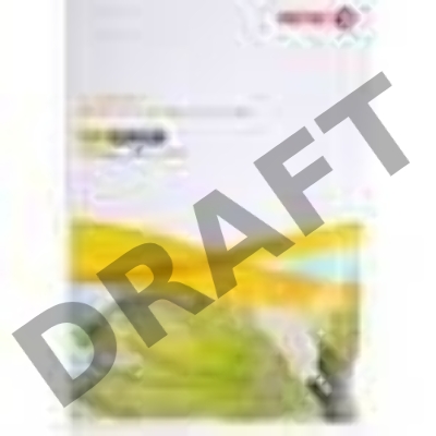 Бумага Xerox COLOTECH+  А3/160 гр./250 листов/упаковка/170 CIE