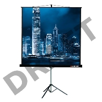 Экран на треноге Lumien 180x180см Master View LMV-100103 1:1 напольный рулонный