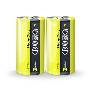 Элемент питания солевой R20 Heavy Duty Shrink-2 (уп.2шт) ФАZА 4895205002357