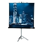 Экран на штативе Lumien Master View 127x127 см Matte White FiberGlass (LMV-100101)