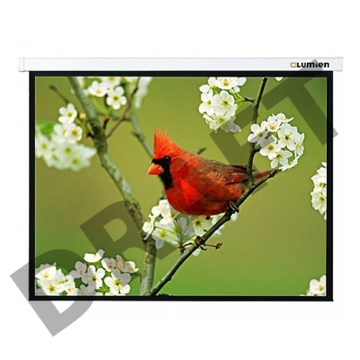 Экран Lumien 305x305см Master Picture LMP-100107 1:1 настенно-потолочный рулонный