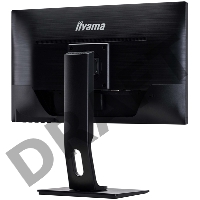 Монитор Iiyama 23