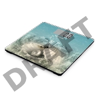 Весы напольные электронные Starwind SSP6030 макс.180кг рисунок