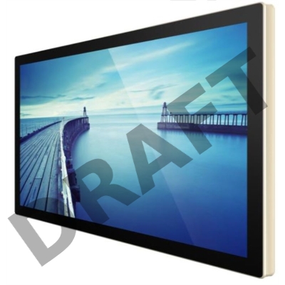 Профессиональный дисплей  Goodview 55