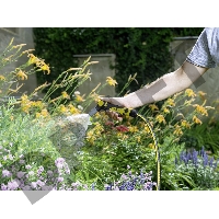 Шланг Karcher Performance Plus 3/4