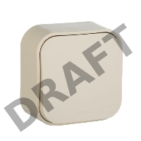 Выключатель 10A 1-клав., сл. кость Quteo