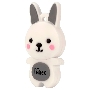 Флеш Диск 8GB Mirex Rabbit, USB 2.0, Серый