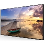 Профессиональный дисплей GoodView 49