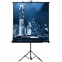 Экран на треноге Lumien 213x213см Master View LMV-100104 1:1 напольный рулонный