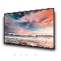 Профессиональный дисплей GoodView 55