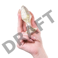 Анальная втулка TOYFA, акрил, золотая, 8 см, Ø 2,8 см