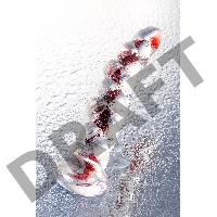 Нереалистичный фаллоимитатор Sexus Glass, стекло, прозрачный, 18 см