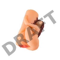 Мастурбатор реалистичный TOYFA Juicy Pussy Fresh Pearl, вагина, TPR, телесный, 13 см