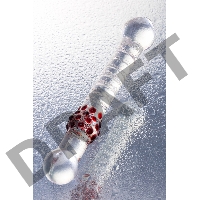 Двусторонний фаллоимитатор Sexus Glass, стекло, прозрачный, 22 см