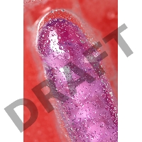 Реалистичный фаллоимитатор A-Toys by TOYFA Celiam, TPE, фиолетовый, 20,5 см