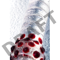 Двусторонний фаллоимитатор Sexus Glass, стекло, прозрачный, 22 см