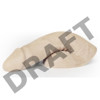 Мягкий имитатор пениса FLESHLIGHT Fleshtone Limpy большой