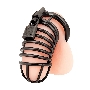 Металлическая черная клетка с замком для сексуальных пыток члена Deluxe Chastity Cage