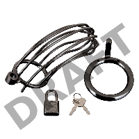 Металлическая черная клетка с замком для сексуальных пыток члена Prisoner Cock Cage