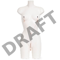 Золотистые зажимы для сосков и клитора All Sensation Nipple and Clitoral Chain