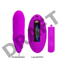 Baile PrettyLove Виброяйцо с пультом ДУ для пар с выделенной головкой