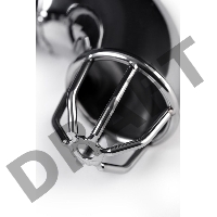 Пояс верности мужской TOYFA Metal, серебряный