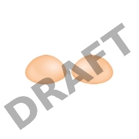 STARBUST INVISIBLE BRA SILICONE C Накладная грудь силикон размер 90C