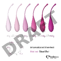 Набор из 6 розовых вагинальных шариков FemmeFit Pelvic Muscle Training Set